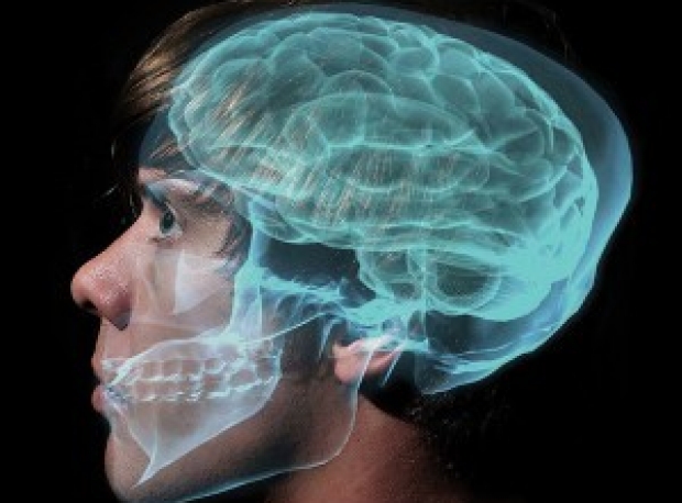 Stock photo of face with skull and brain overlay