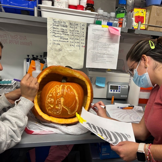 CT Surgery Pumpkin Carving Contest