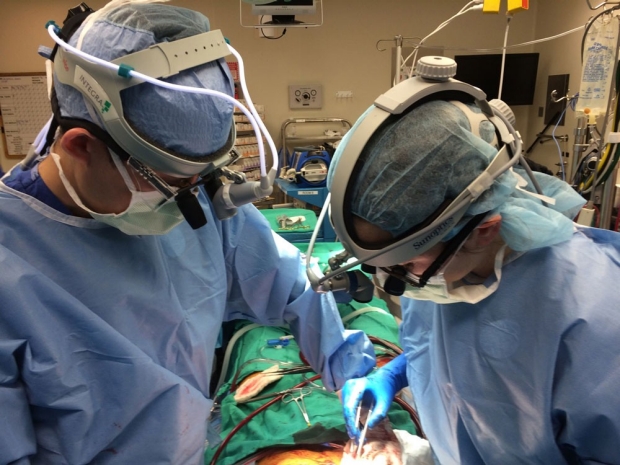 two surgeons in blue scrubs the OR