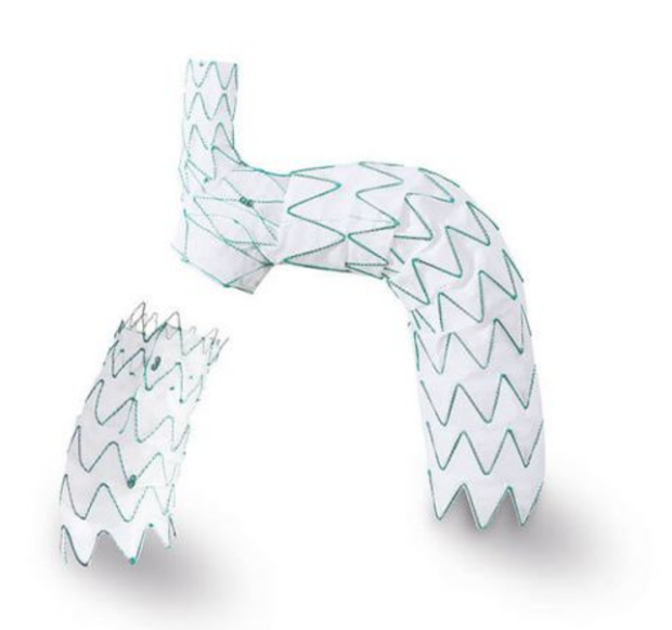 NEXUS™ Aortic Arch Stent Graft System