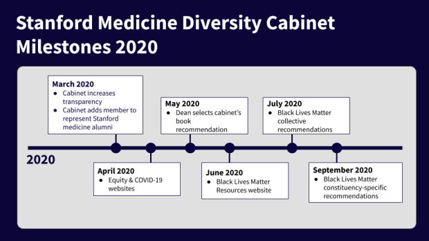 2020 Diversity Cabinet Milestones