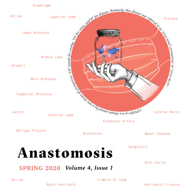 Spring 2020 Anastomosis