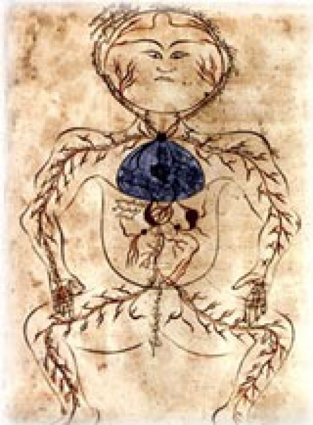 Mansur ibn Muhammed Human Body Circulation, ca. 1488