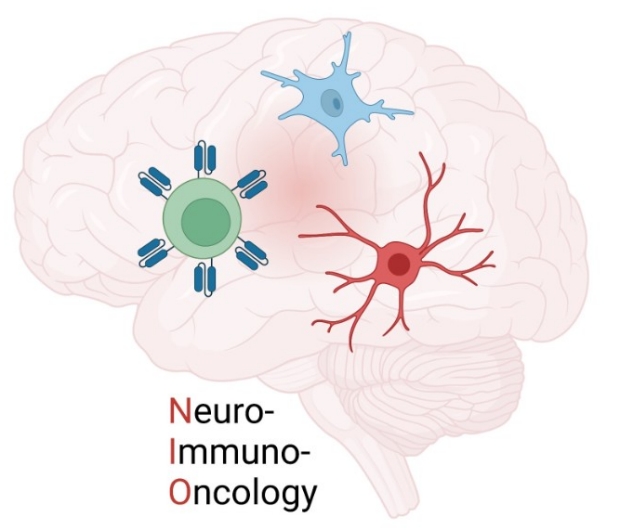 Stanford Neuro-Immuno-Oncology Program