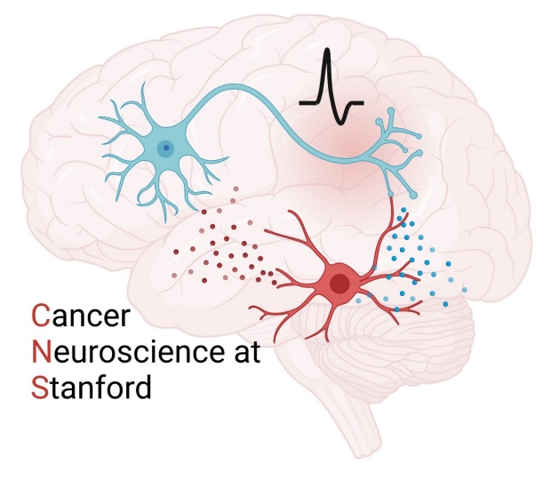 cancer-neuroscience-logo