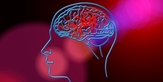 Brain image on red background