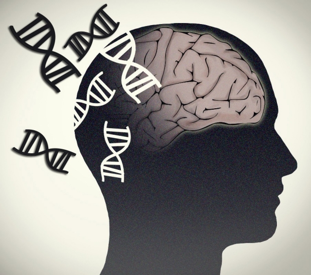 neurology-neurogenetics-neurogenomics-brain