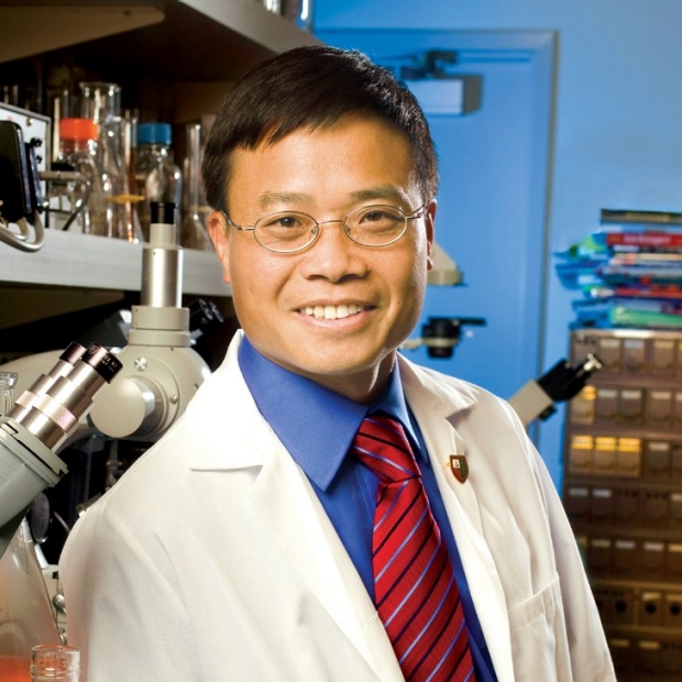 Heng Zhao, PhD