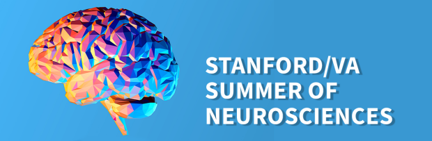 Summer of Neurosciences Program