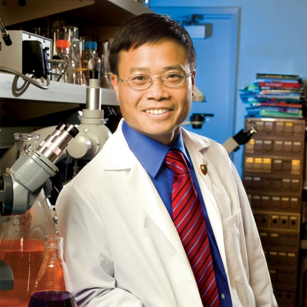Heng Zhao, PhD