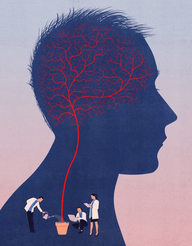 Stroke image from Stanford Magazine Winter 2018 Issue