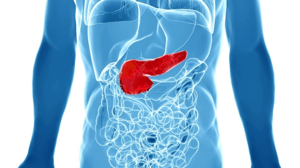 How age affects pancreatic function