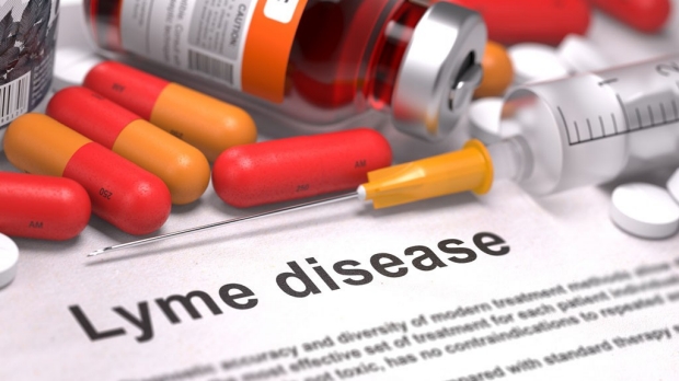New compounds may combat Lyme disease
