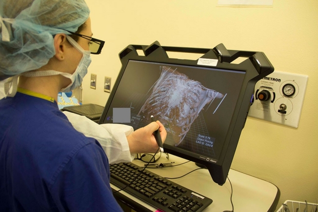 Woman in blue scrubs looking at a 3-D image of a chest on a computer screen