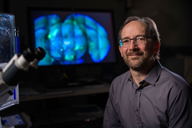 Man sitting near a microscope with blue images of a brain on a screen behind him