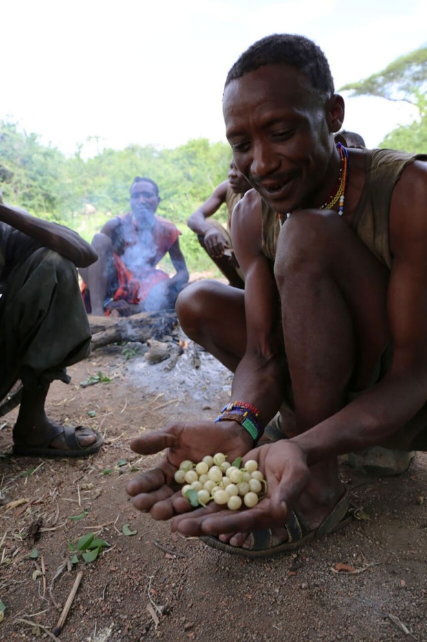 Hadza man holding berries in his hands