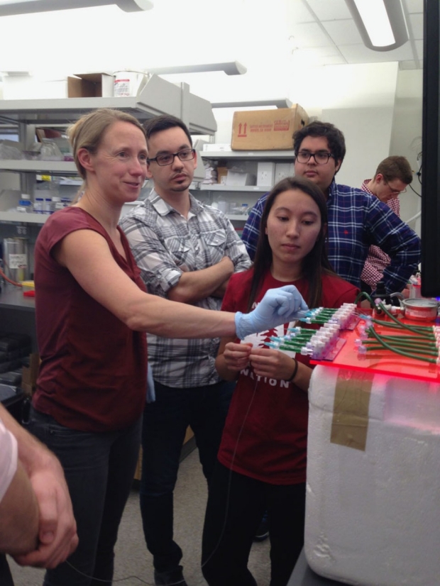 Four scientists working around a microfluidics machine
