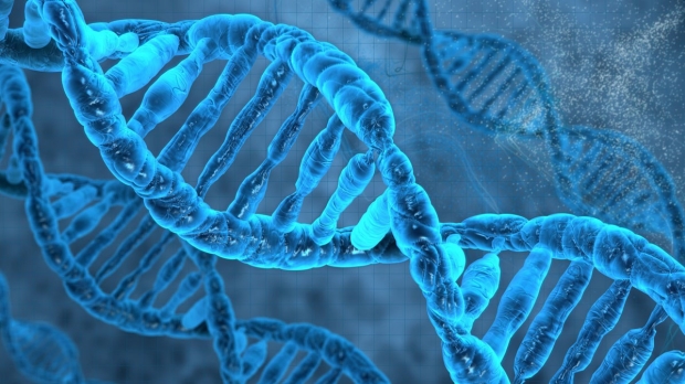 Genotype, gene expression linked in tissues
