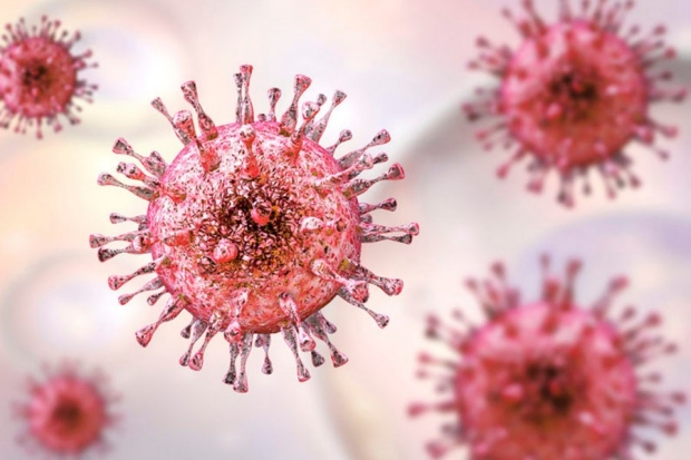 Illustration of cytomegalovirus