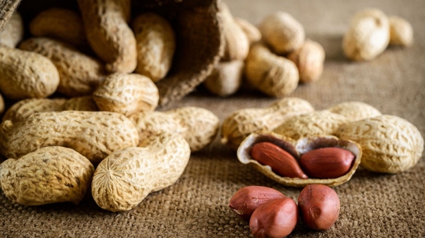 Progress in peanut-allergy immunotherapy