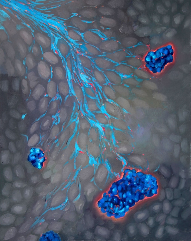 Illustration of beta cells