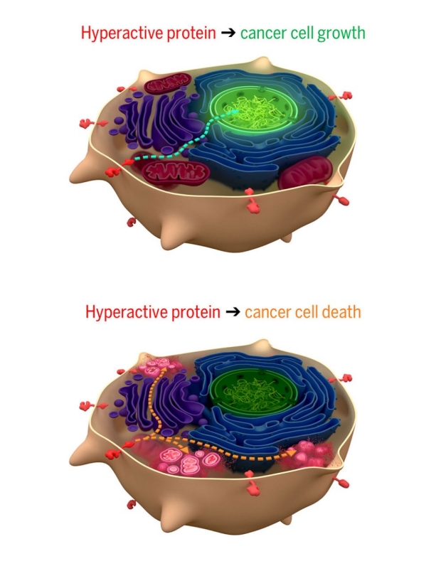 Illustration of cancer growth