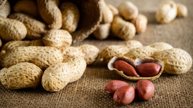 Antibody treatment for peanut allergy