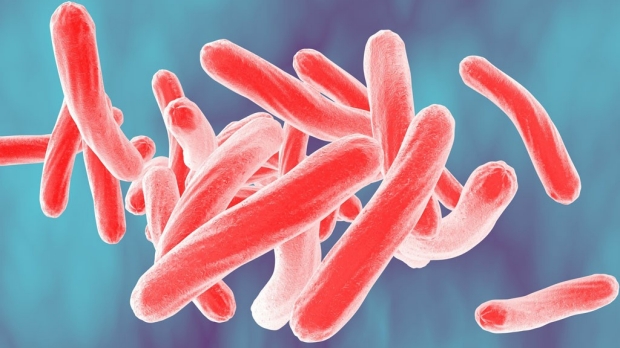 Cancer drugs might be used to treat TB 