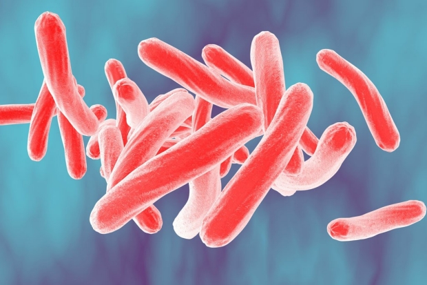 illustration of Mycobacterium tuberculosis bacteria