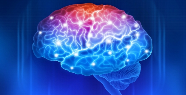 Brain plasticity leads to worse seizures