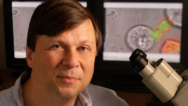 Mark Davis on immunology research