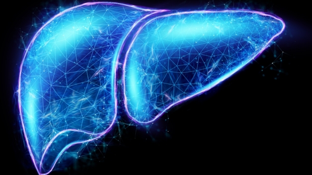 Liver exchange eases shortage of organs