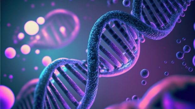 Stanford Medicine-led study clarifies how ‘junk DNA’ influences gene expression
