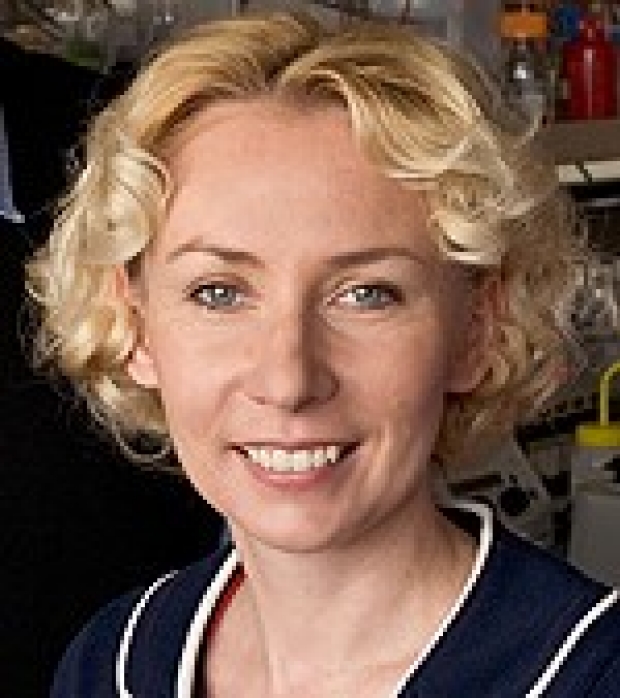 Joanna Wysocka, PhD