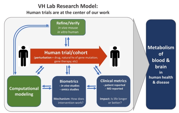 Lab Research Model 