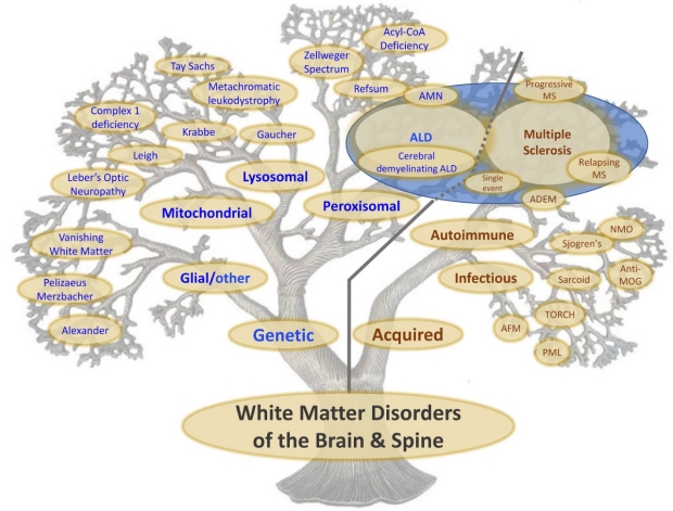 Tree of Disorders